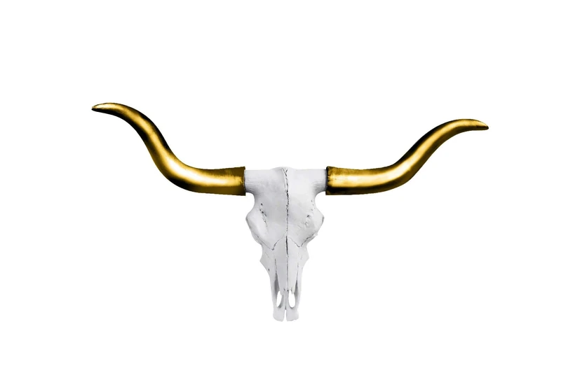 Large Faux Texas Longhorn Cow Skull Wall Hanging Sculpture by Wall Charmers | The Austin Bull Head Skull in White + Gold Horns Animal Skull Wall Mount Faux Taxidermy Rustic Western Wall Decor