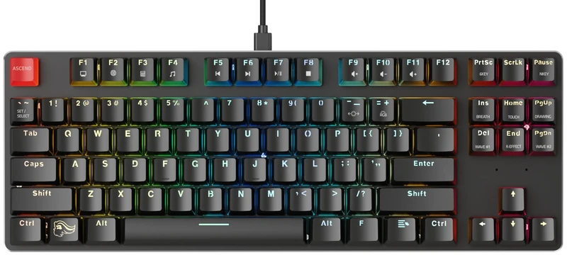 Glorious Gaming GMMK TKL (85%) - Mechanical Gaming Keyboard, Gateron Brown Switches (Tactile), Doubleshot Caps, Per Key RGB, Hotswap & Customisable, TKL Design, American QWERTY Layout - Black