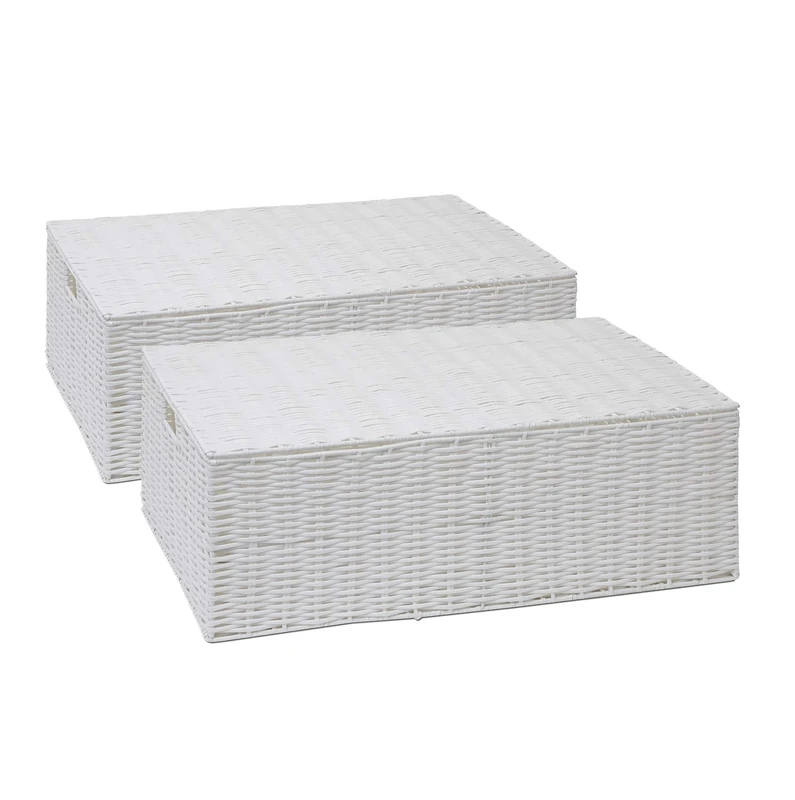 ARPAN Resin Woven Under Bed Storage Box, Chest Shelf Toy Clothes Basket With Lid - White (Set of 2 - Large)