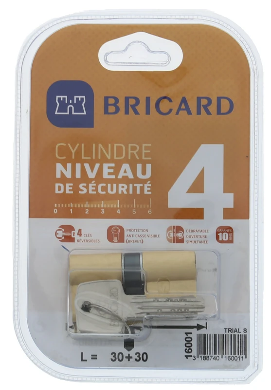 BRICARD 16001 Trial S 30 + 30 Brass Cylinder 4 Reversible Keys, Safety Yellow, Double Entry Level Breakage Resistance and Resistance. Resistant to Drilling, Picking and Bumping - Image 1