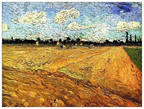 ArtPlaza Van Gogh Vincent-Ploughed Field Decorative Panel, Wood, Multi-Colour, 80 x 1.8 x 60 cm