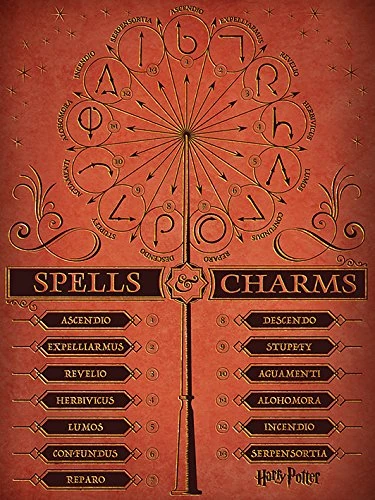 Pyramid International HARRY POTTER Canvas Print Spells & Charms 60cm x 80cm - Official Merchandise