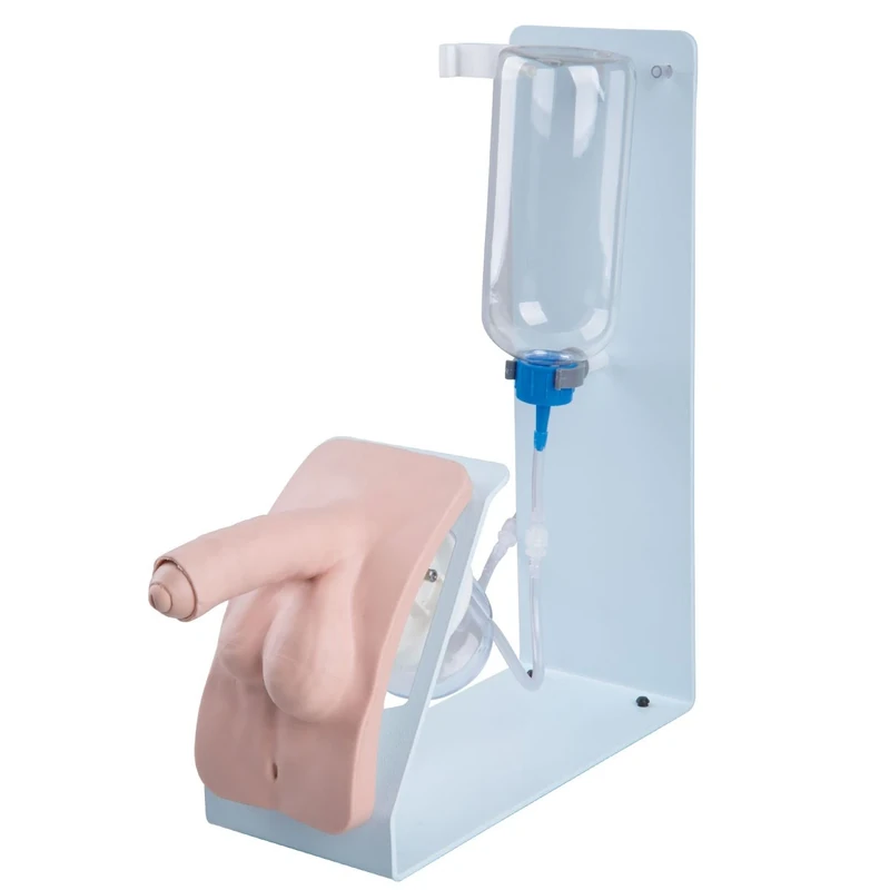 3B Scientific Catheterisation simulator BASIC, male