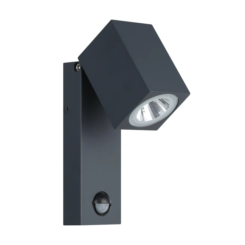 Eglo 96287 SAKEDA Exterior Wall Light in Black