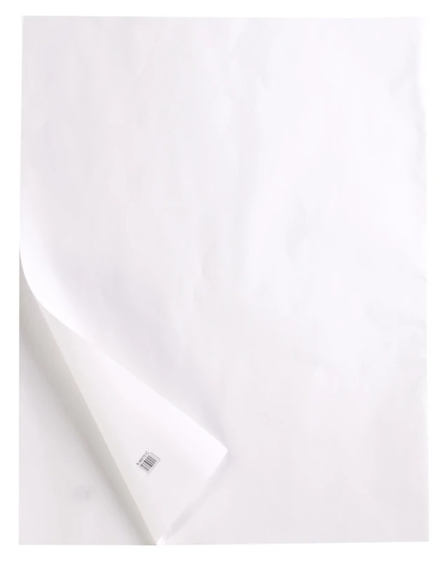 Clairefontaine - Ref 975097C - Tracing Paper Roll (Single Roll) - 0.66x20m Sized, 90/95g, High Transparency, Smooth Surface, Acid Free, Printable - Suitable for Ink, Marker & Pencil