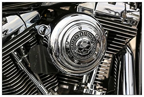 ArtPlaza Art Studio-Motorcycle Decorative Panel, Wood, Multi-Colour, 90 x 1.8 x 60 cm