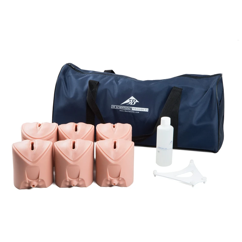 3B Scientific P94 Birth Stages Trainer