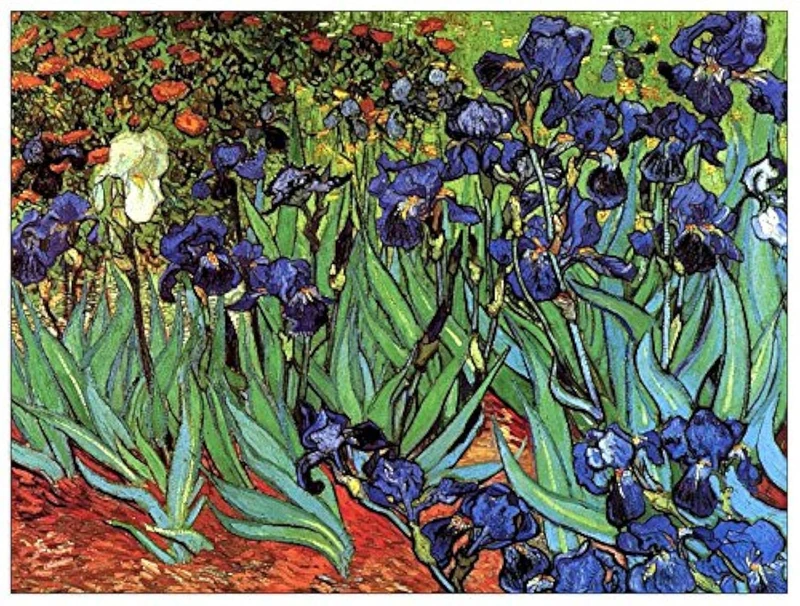 ArtPlaza Van Gogh Irises I Decorative Wood Panel - 80 x 60 cm