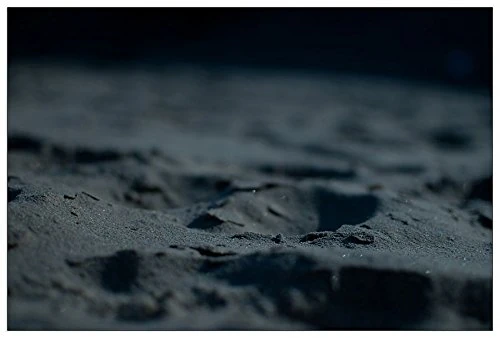 ArtPlaza Art Studio-Beach Decorative Panel, Wood, Multi-Colour, 90 x 1.8 x 60 cm