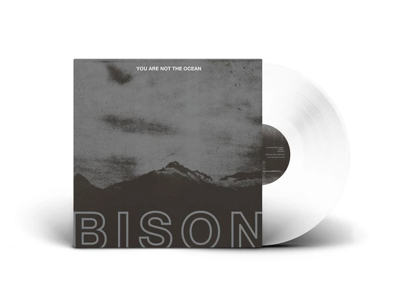 You Are Not The Ocean (Lp/Dl Card) [VINYL]