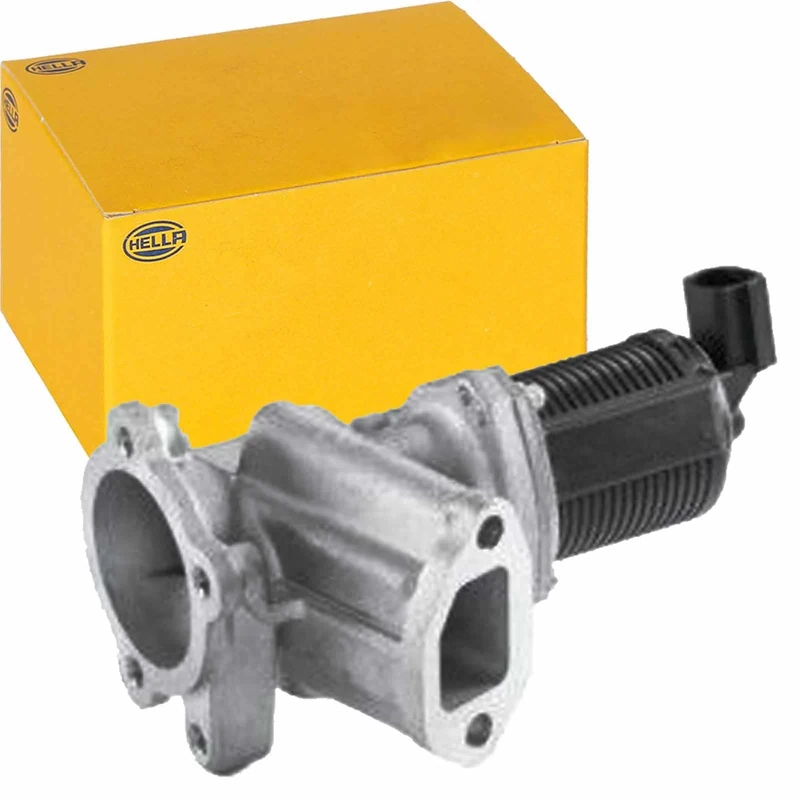 HELLA 6NU 010 171-451 EGR Valve - Electronic - 2-pin connector - with gaskets/seals