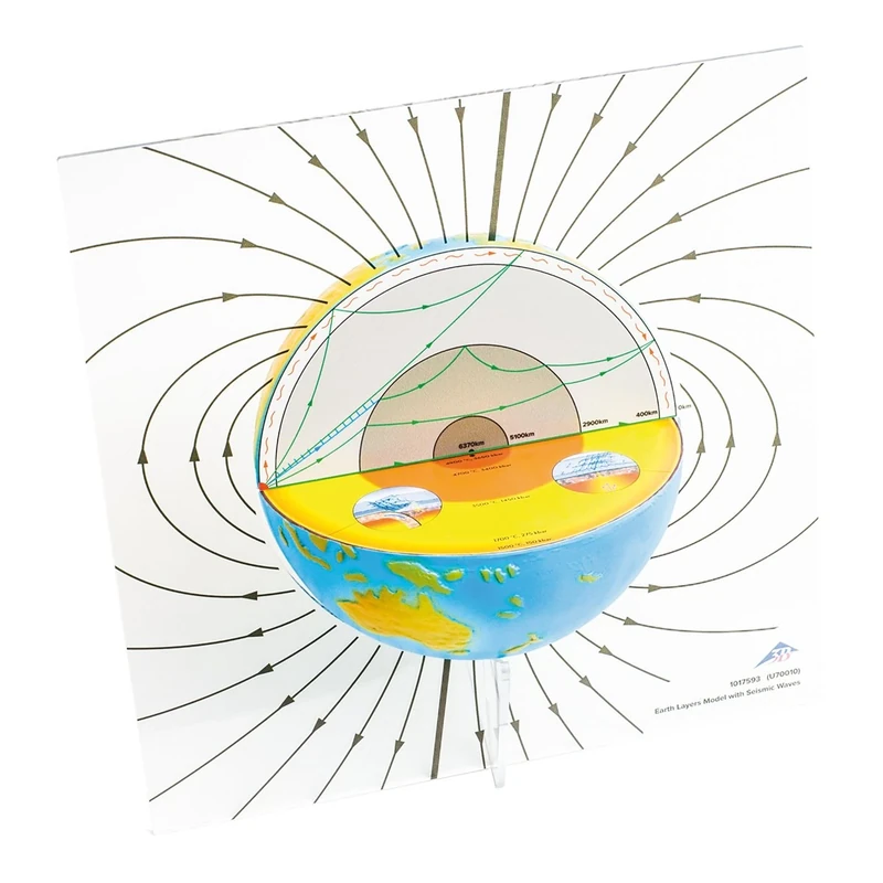 3B Scientific U70010 Earth Layer Model with Seismic Waves