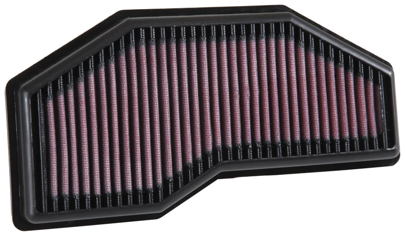 K&N Engine Air Filter: High Performance, Premium, Powersport Air Filter: Fits 2016-2019 TRIUMPH (Speed Triple RS, Speed Triple S, Speed Triple R, Street Triple R, Street Triple S) TB-1016