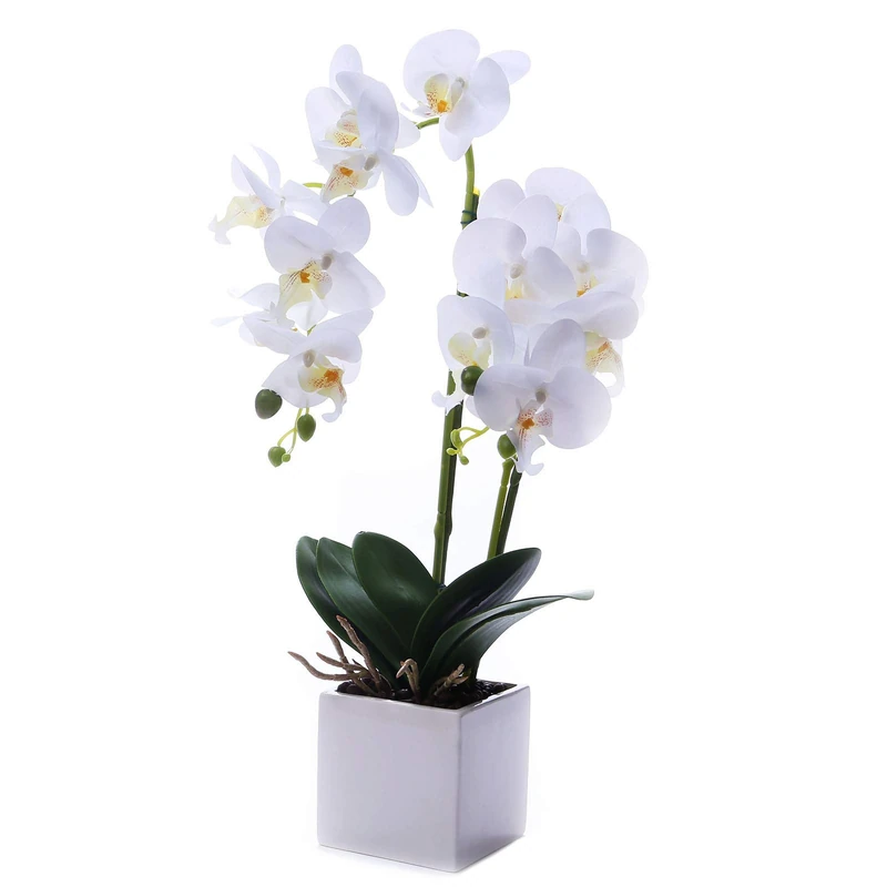 LEEMAN Artificial Lifelike Real Touch Flowers Arrangement Phalaenopsis Bonsai Orchid Miniascape Home Decoration (White 535) - Image 1
