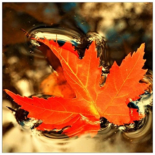 ArtPlaza Art Studio-Foglia d'autunno Decorative Panel, Wood, Multi-Colour, 30 x 1.8 x 30 cm