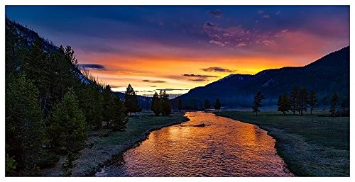 ArtPlaza Art Studio-Yellowstone Decorative Panel, Wood, Multi-Colour, 100 x 1.8 x 50 cm