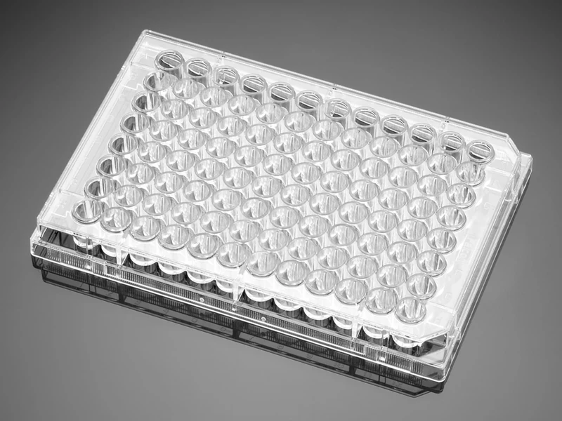 Corning Falcon 353075 96 Well Plate with Lid, Cell Clear Flat Bottom TC Treated Culture, Sterile (Pack of 50)