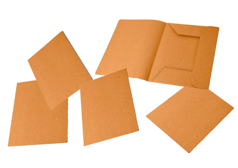 PIGNA 0221802 AR Folder 3 lembi Without Print