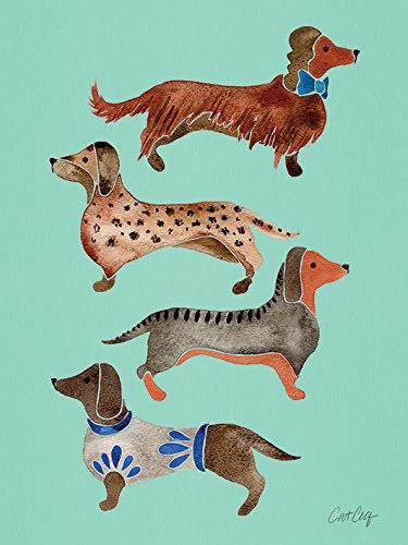 The Art Group "Dachshunds Cat Coquillette Canvas Print, Multi-Colour, 60 x 80 x 1.3 cm