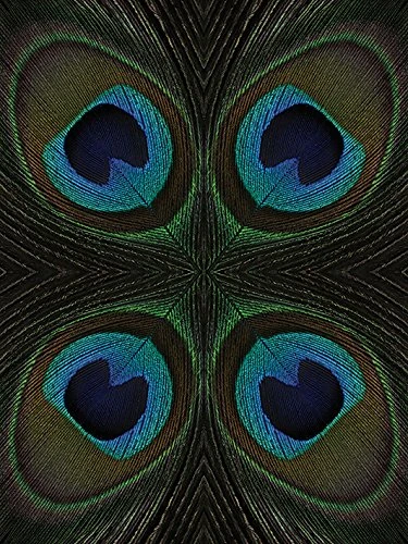 The Art Group "Peacock Feather Quartette Alyson Fennell Canvas Print, Multi-Colour, 60 x 80 x 1.3 cm