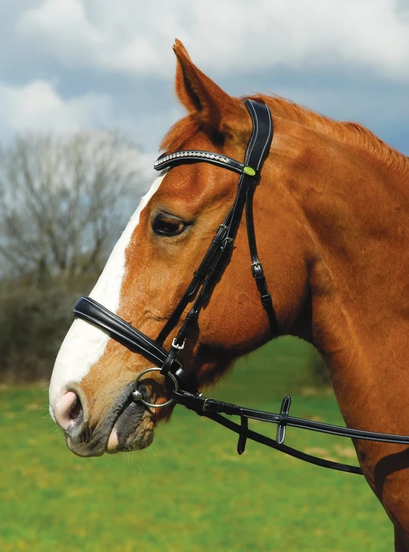 Rhinegold Anatomic Cavesson Bridle - Cob - Black