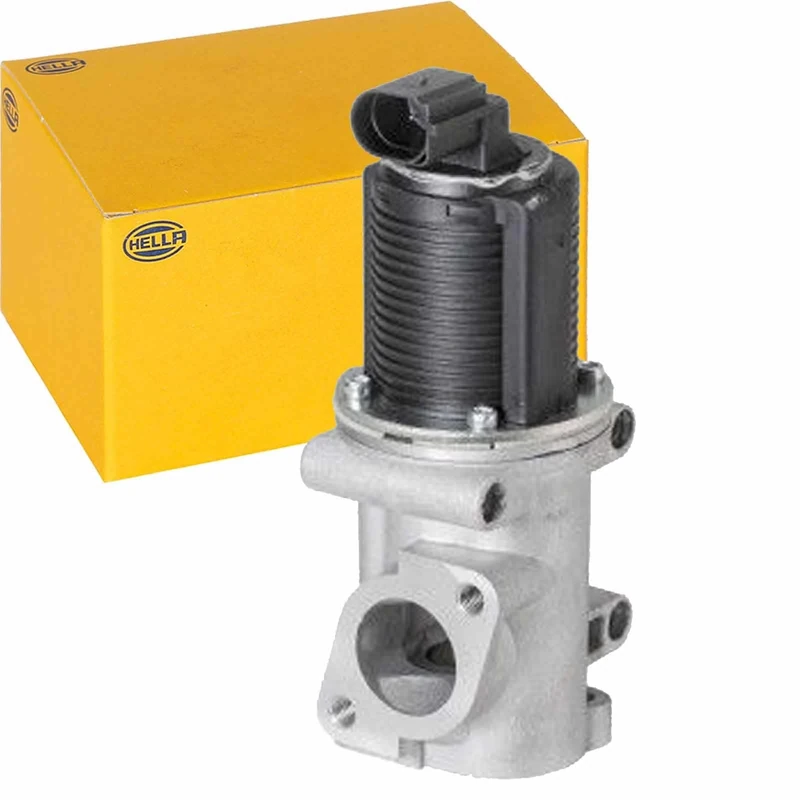 HELLA 6NU 010 171-541 EGR Valve - Electronic - 2-pin connector - with gaskets/seals