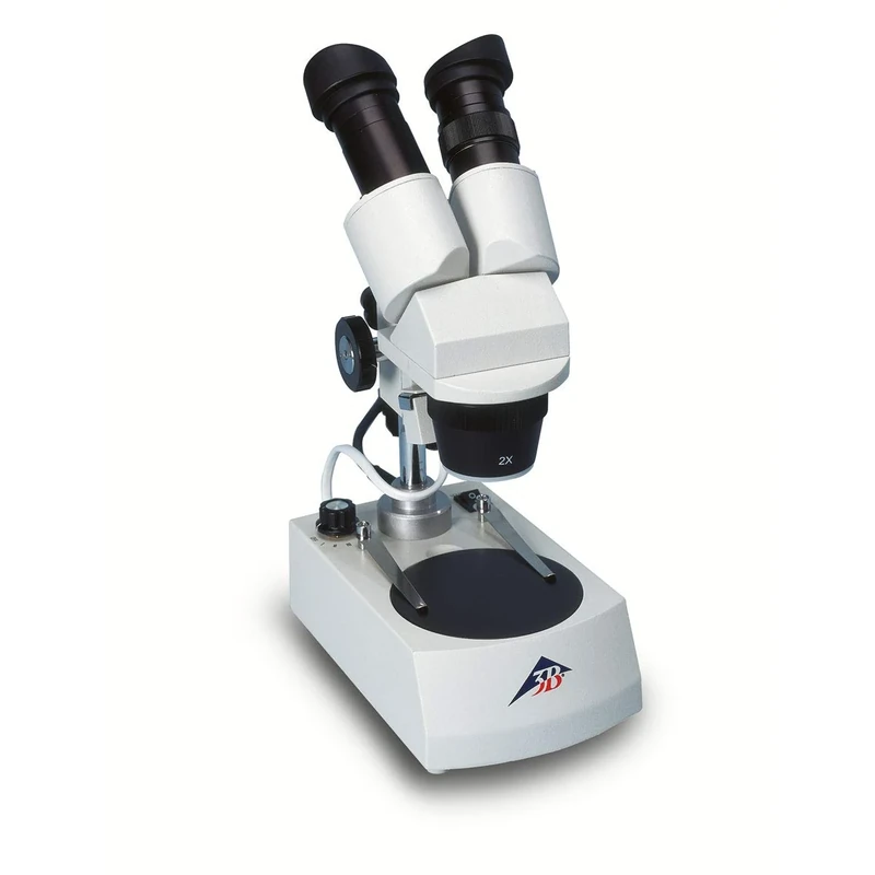 3B Scientific W30666-230 Stereo Microscope, 40X, Transmitted-Light Illumination Led, 230V, 50/60 Hz