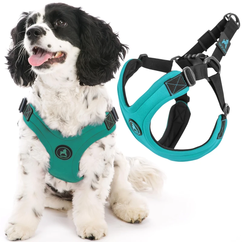 Gooby Escape Free Sport Harness - Turquoise, Large - No Choke Step-in Patented Neoprene Small Dog Harness, Four-Point Adjustment - Perfect on The Go Dog Harness for Medium Dogs No Pull and Small Dogs