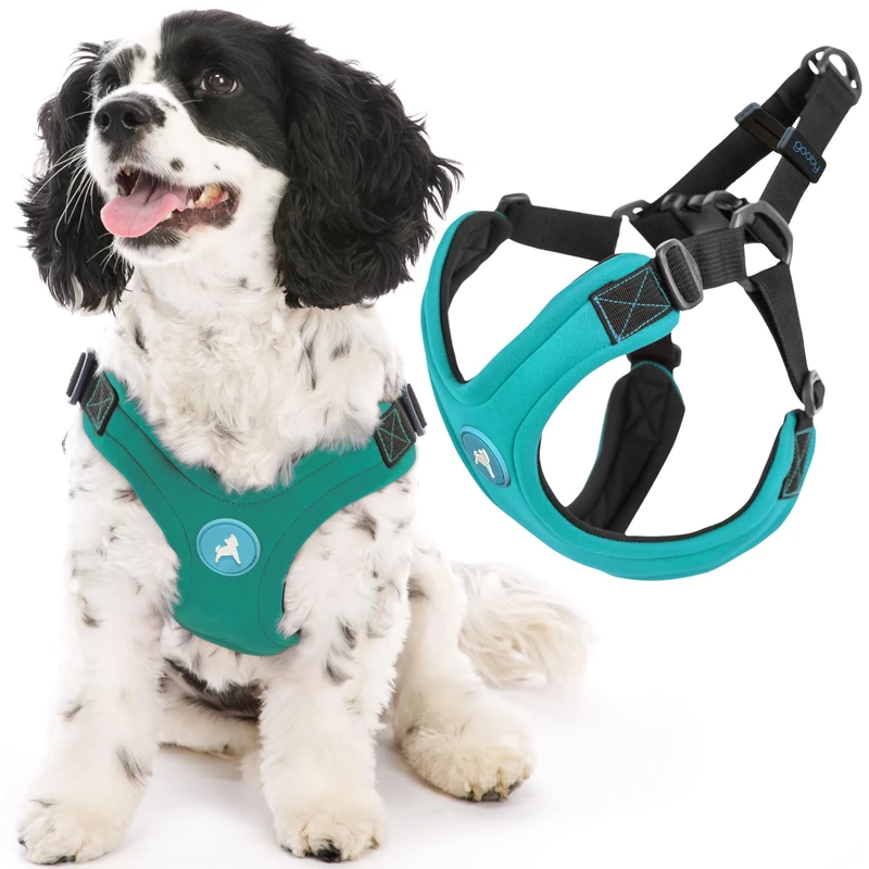 Gooby Escape Free Sport Harness - Turquoise, Small - No Choke Step-in Patented Neoprene Dog Harness, Four-Point Adjustment - Perfect On-The-Go Dog Harness for Medium Dogs, No Pull