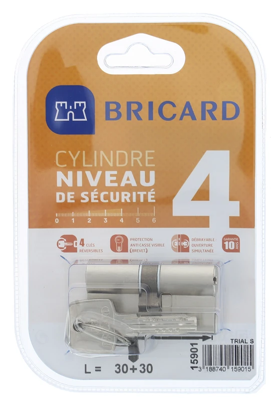 Bricard 15901 Trial S 30+30 Nickel-Plated Double Euro Cylinder Lock, Security Level: 4
