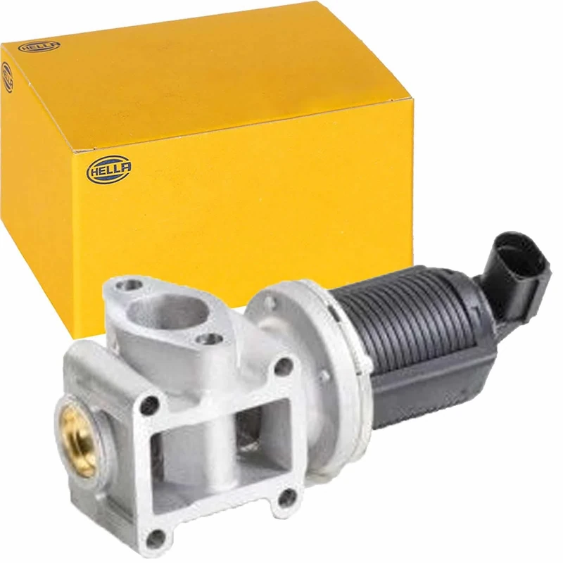HELLA 6NU 010 171-401 EGR Valve - Electronic - 2-pin connector - with gaskets/seals