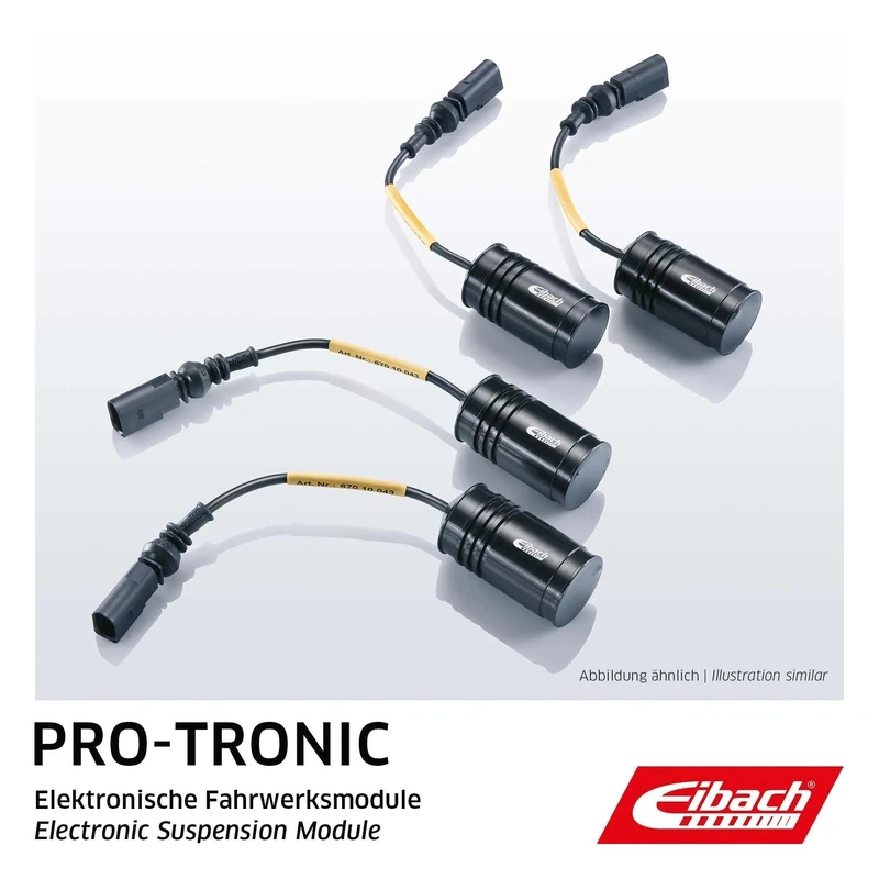 Eibach AM65-65-013-02-22 Pro-Tronic