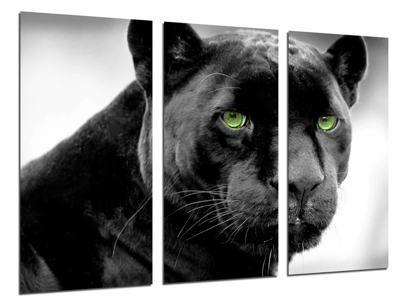 Multi Wood Printings Art Print Box Framed Picture Wall Hanging - Panther, Jaguar, Feline, Animal Wild, (Total Size: 38,2" x 24,4"), Framed and Ready to Hang - ref. 26703
