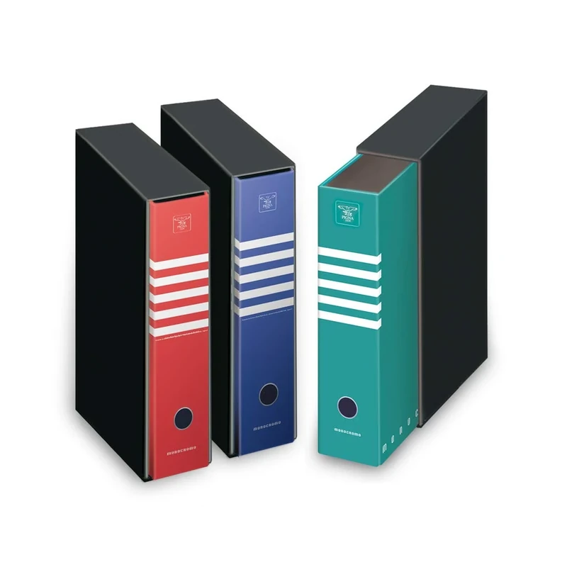 PIGNA 0223326d8 D8 Recorder with Case, 12 Pieces