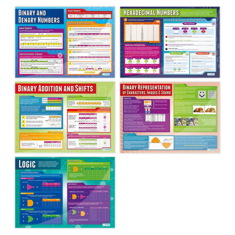 Data Representation Posters - Set of 5 | Computer Science Posters | Laminated Gloss Paper measuring 850mm x 594mm (A1) | STEM Posters for the Classroom | Education Charts by Daydream Education