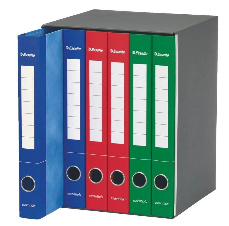 Esselte 391965000 Binder with 2 Rings, Spine 4 cm, Assorted Colours- 1 Group of 6 Binders