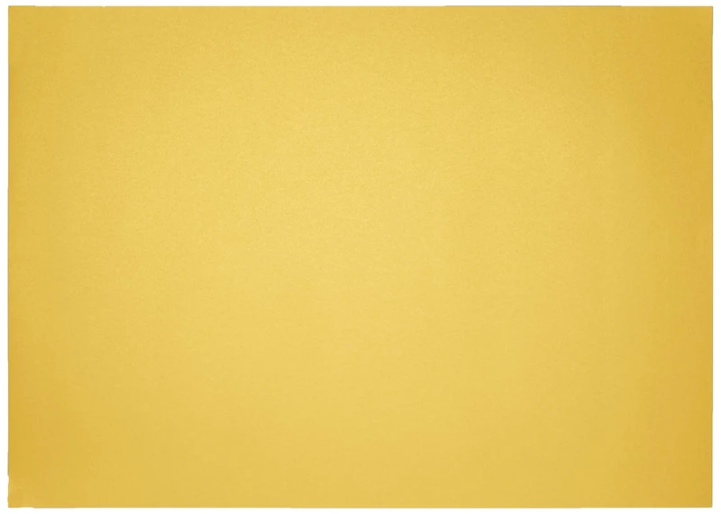 Clairefontaine - Ref 397280C - Maya Coloured Drawing Paper (Pack of 12 Sheets) - 270gsm Paper - 50 x 70cm - Gold Colour - Deep Dyed, Acid Free, pH Neutral