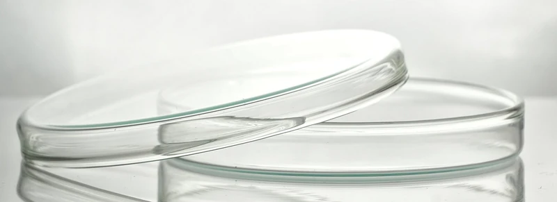 Witeg 150 B petri dishes with lid, diameter 150 mm x 25 mm, non-porous, borosilicate glass 3.3