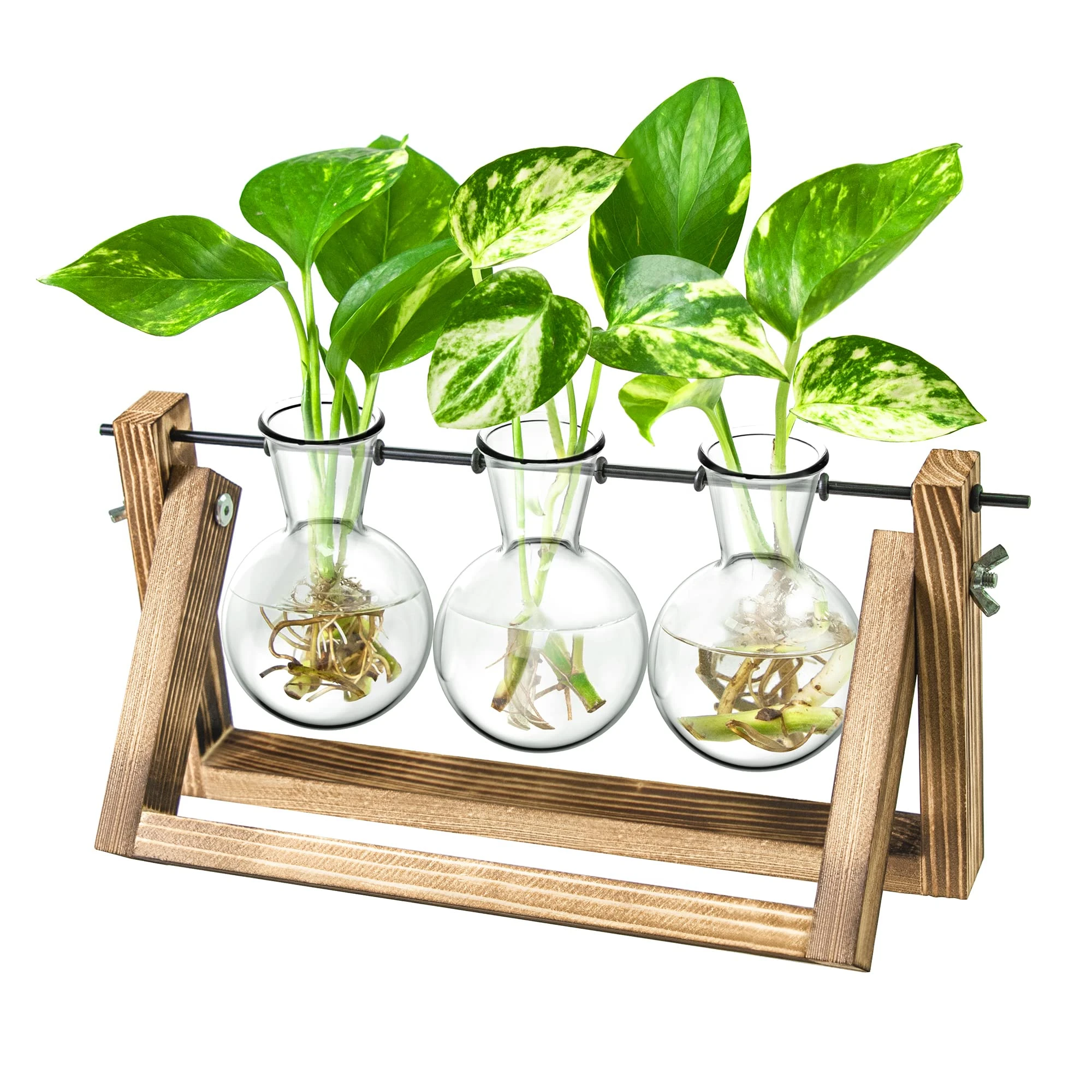 Gifts for Mum,Plant Propagation Station, Plant Terrarium,Gifts for Women Plant Lovers,Plant Cutting Holder Home décor,Plant Starter for hydroponic Plants,House Warming Gifts New Home for her