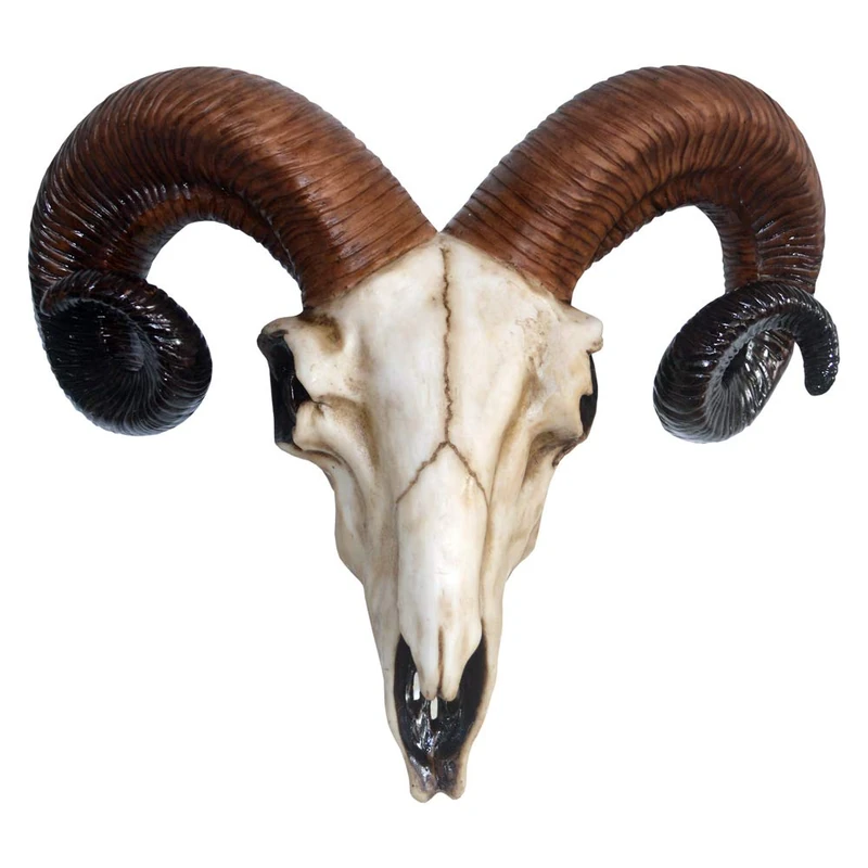 Nemesis Now Rams Skull Medium Wall Plaque 32.5cm Ivory, Resin, One Size