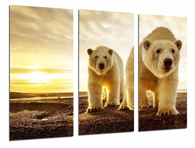 Multi Wood Printings Art Print Box Framed Picture Wall Hanging - Animal Bear Polar, Mama and Beby Sunshine, Life Wild, (Total Size: 38,2" x 24,4"), Framed and Ready to Hang - ref. 26791