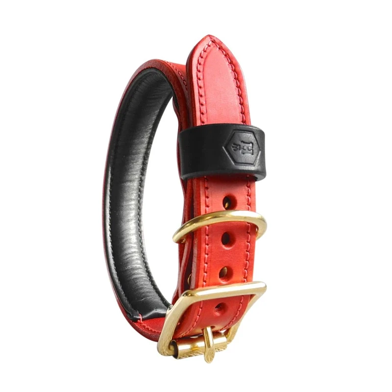 Houndworthy Monogram Luxury Padded Bridle Leather Dog Collar, X-Large, 44-52 cm, Oxblood Red