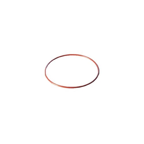 Duran 29 222 46 O-Ring, FEP Coated DN Compatible with Flange 100 Red - Image 1