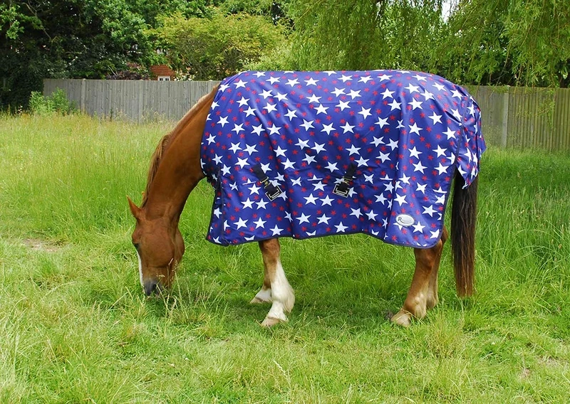 Rhinegold 0 Rhinegold Star Torrent Rug-lightweight No Fill Outdoor rug, Star Design, 6 UK