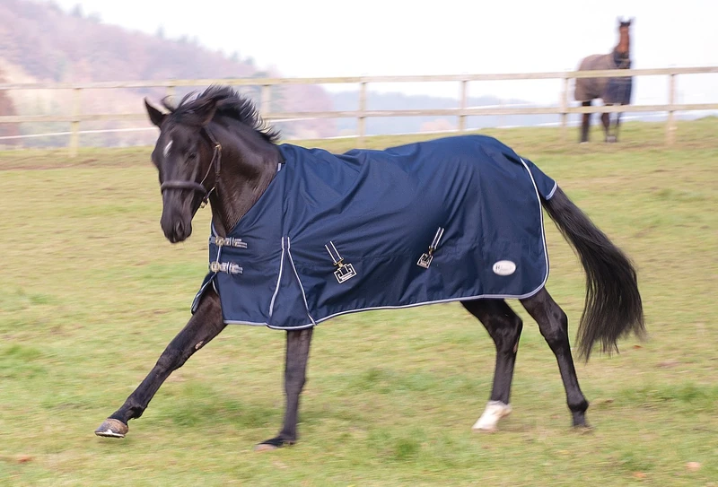 Rhinegold Unisex - 5/0 Rhinegold Torrent Outdoor Rug 5 0 Navy, Navy, UK