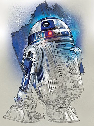 STAR WARS: The Last Jedi "R2-D2 Brushstroke Canvas Print, Multi-Colour, 60 x 80 cm