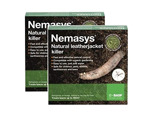 Nemasys Leatherjacket Killer nematode treatment (200 sqm)