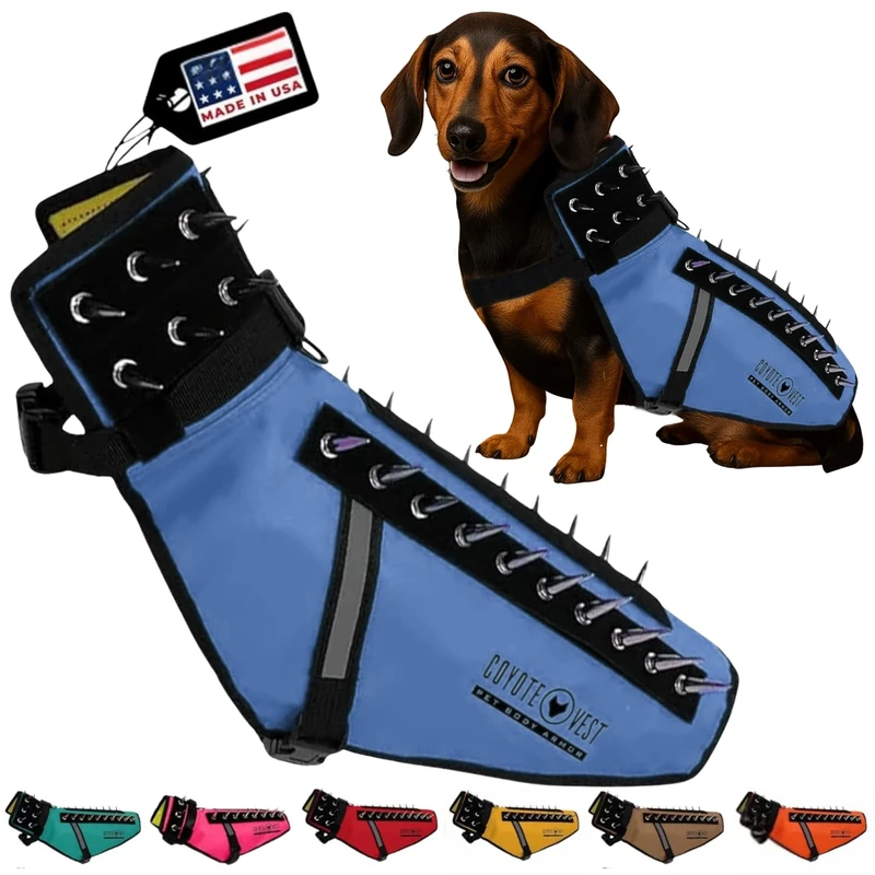 CoyoteVest Dog Harness Protection Vest, Reflective Dog Accessories with Spikes to Shield Your Pet from Raptor and Animal Attacks, Proudly Made in America (Small, Royal Blue)