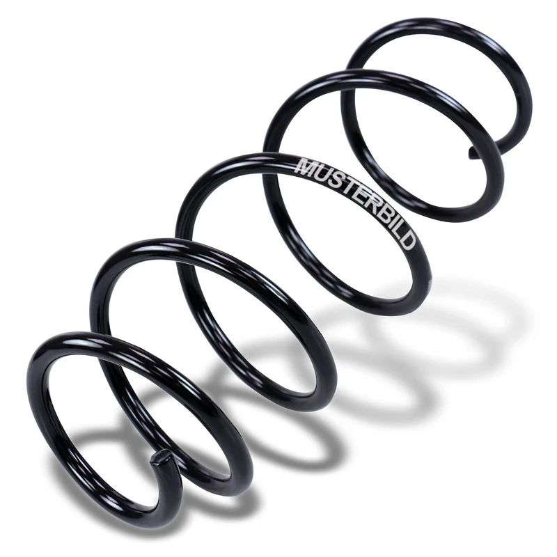 BILSTEIN 36-256600 Low Fitting Springs