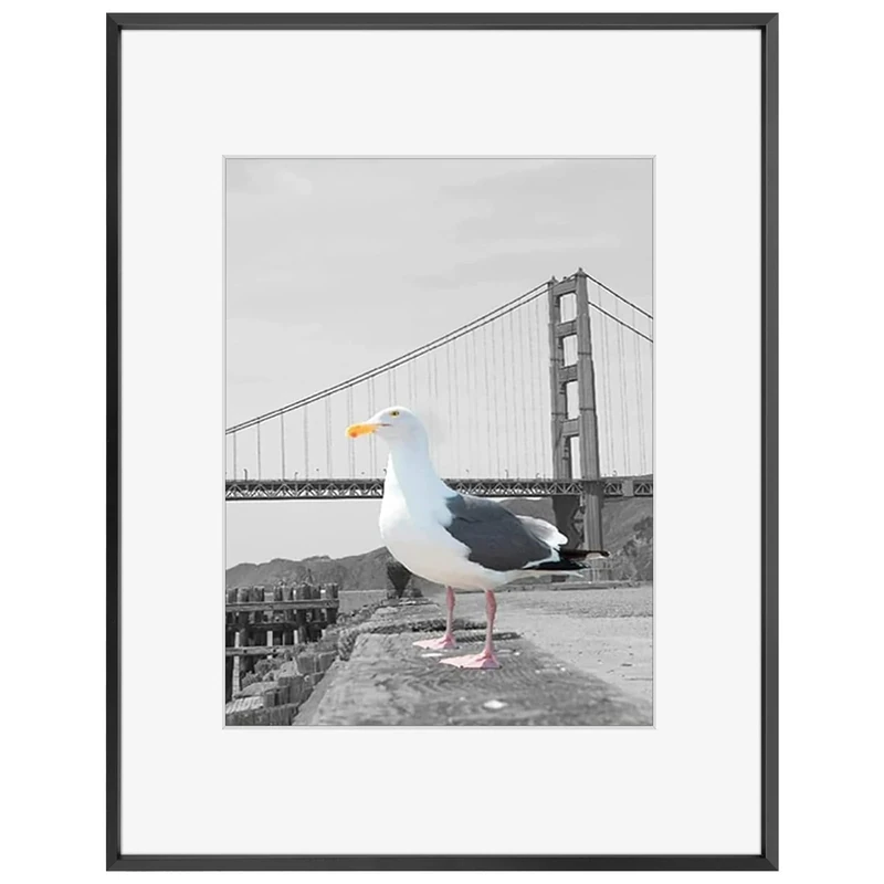 Frametory, 16x20 Metal Picture Frame Collection, Aluminum Photo Frame with Ivory Color Mat for 11x14 Picture & Real Glass (Black)